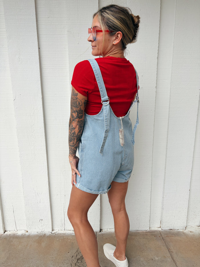 Pinstripe Denim Overalls