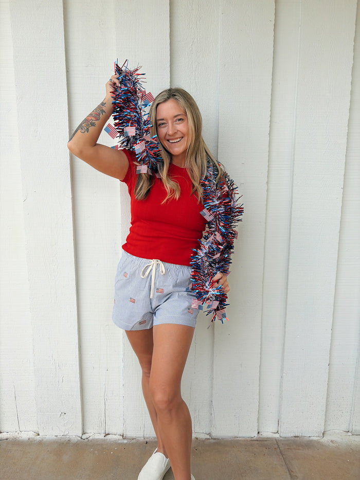 Stripe Flag Embro Shorts