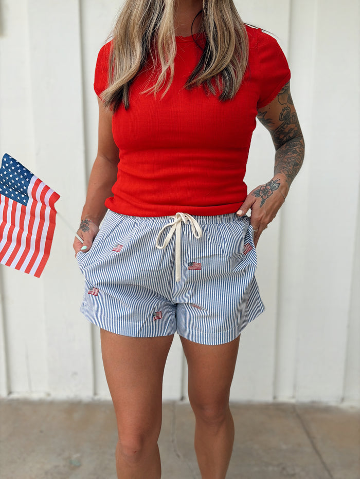 Stripe Flag Embro Shorts